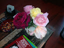 rose1