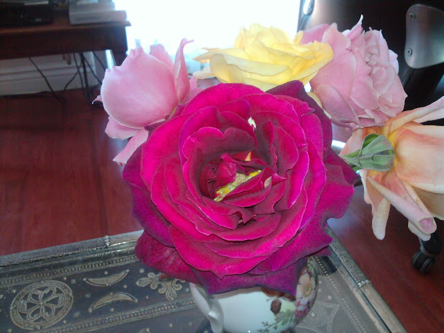 rose2