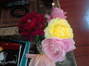 rose3