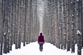 woods