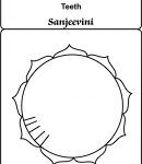 sai teeth