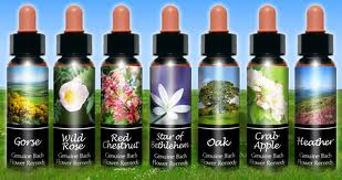 Bach Flower Remedies Changing Addiction Treatment